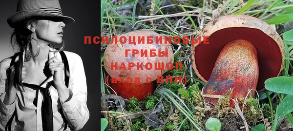ешки Алексин
