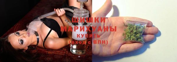 PSILOCYBIN Пересвет