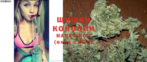 ешки Алексин