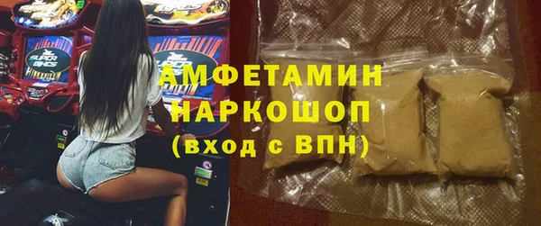 ешки Алексин