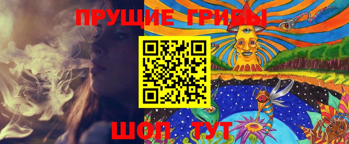 Псилоцибиновые грибы мицелий  Вход с VPN  Сыктывкар 